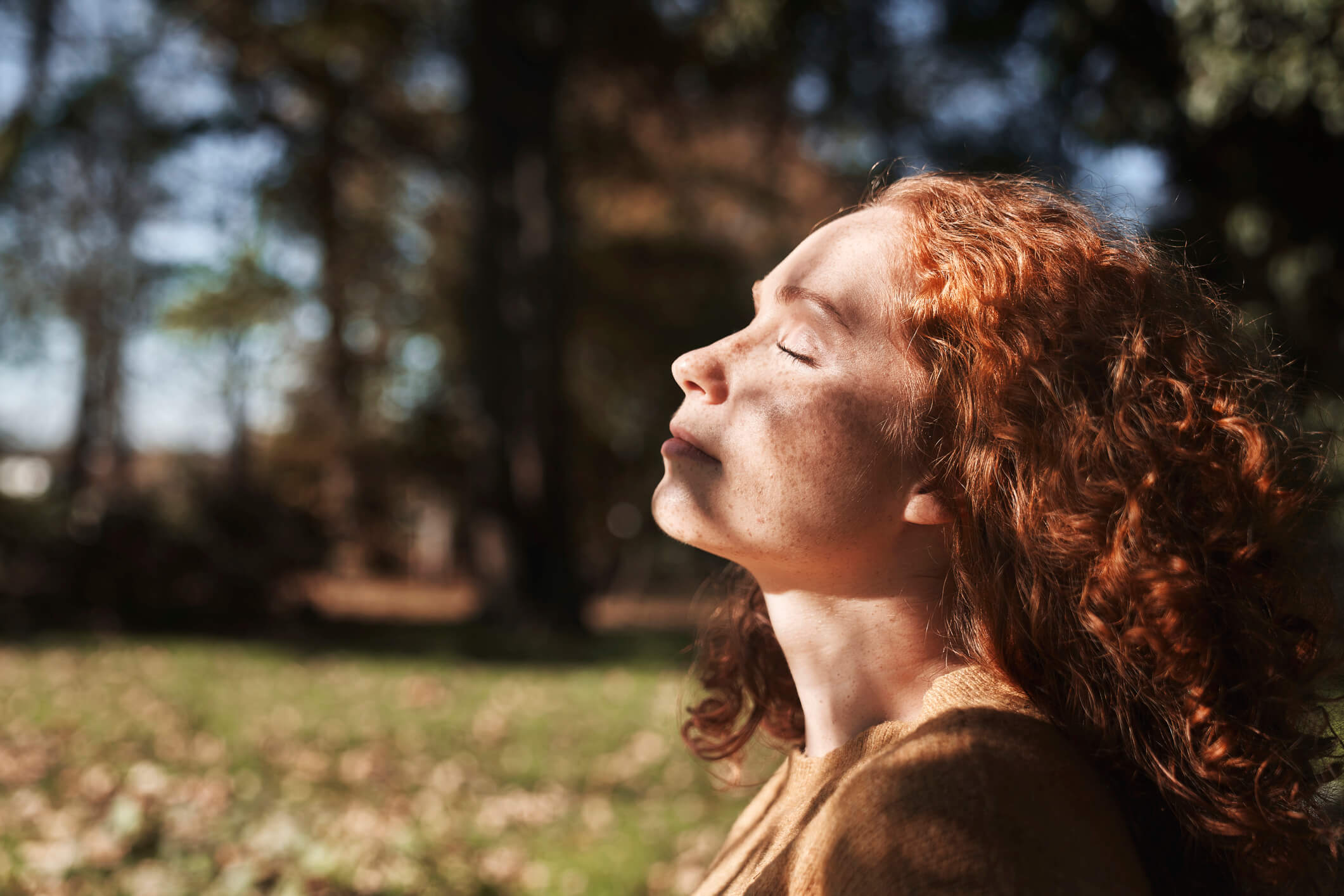 Featured image for “Surrender”